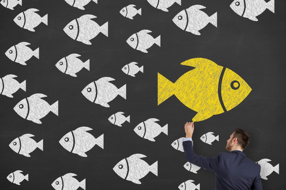 conhecimento rupturas