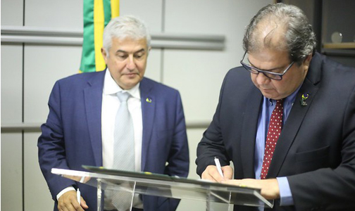 posse conselho